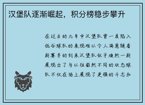 汉堡队逐渐崛起，积分榜稳步攀升