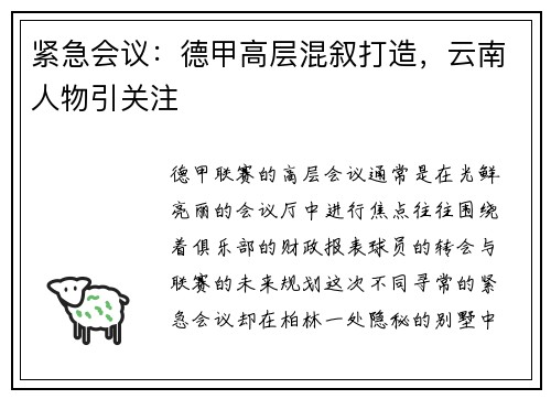 紧急会议：德甲高层混叙打造，云南人物引关注